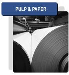Pulp & Paper