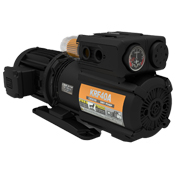 Dry Rotary Vane Pumps