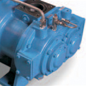 NASH Dry Pump Vacuum Systems