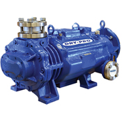 Dry Pump Vacuum Systems