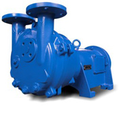 NASH 2AV2 Pedestal Mounted Liquid Ring Pumps