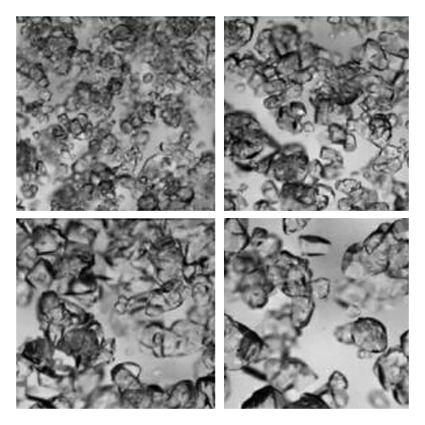 Process Controls Corporation - Canty Process Technology Sugar Particle Size and Shape Analysis Systems